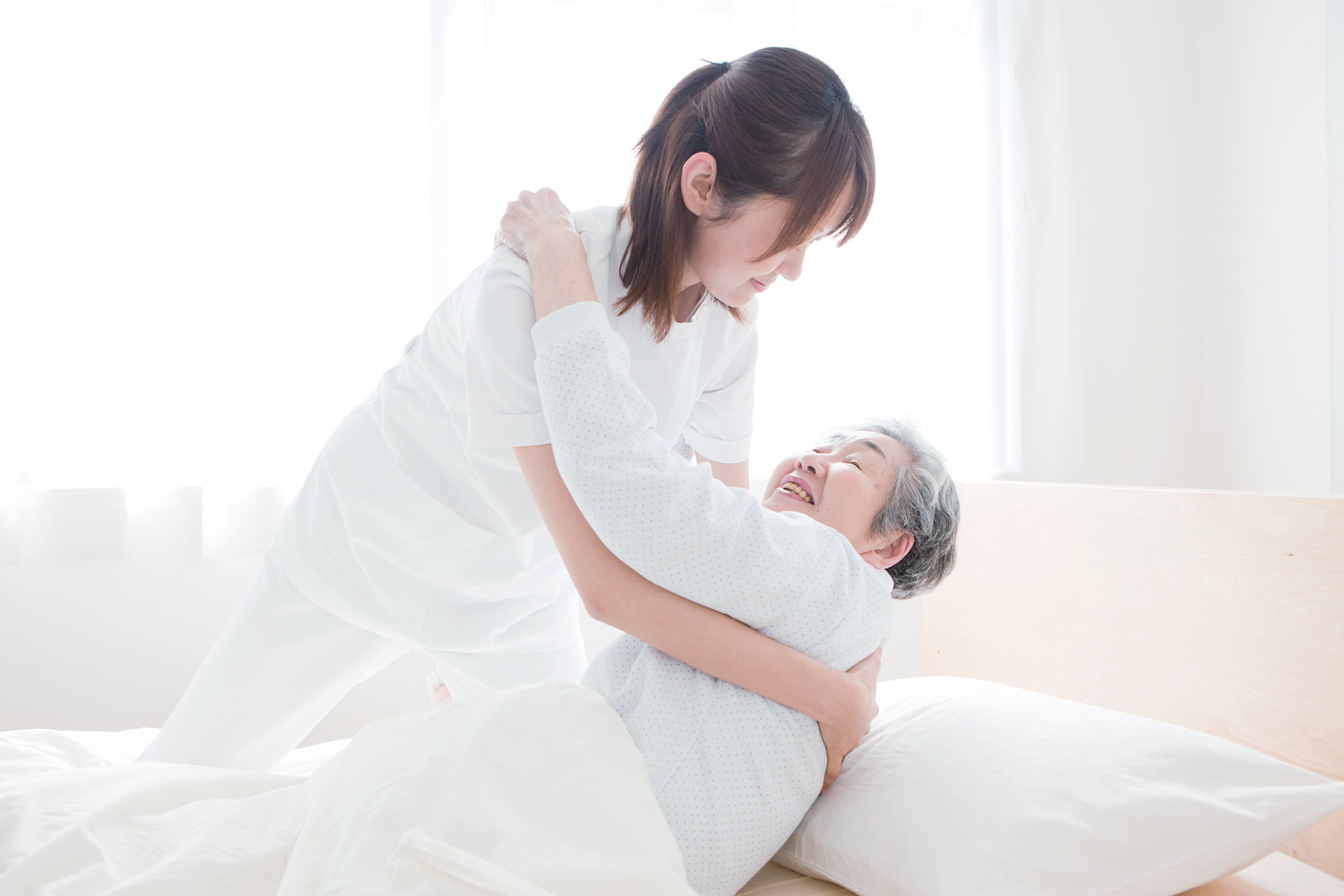 公式案内画像