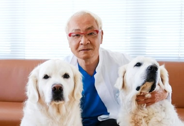 公式案内画像