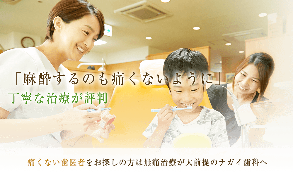 公式案内画像