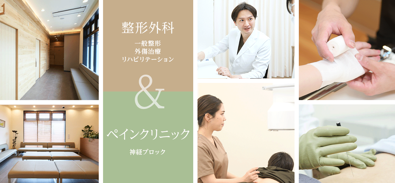 公式案内画像