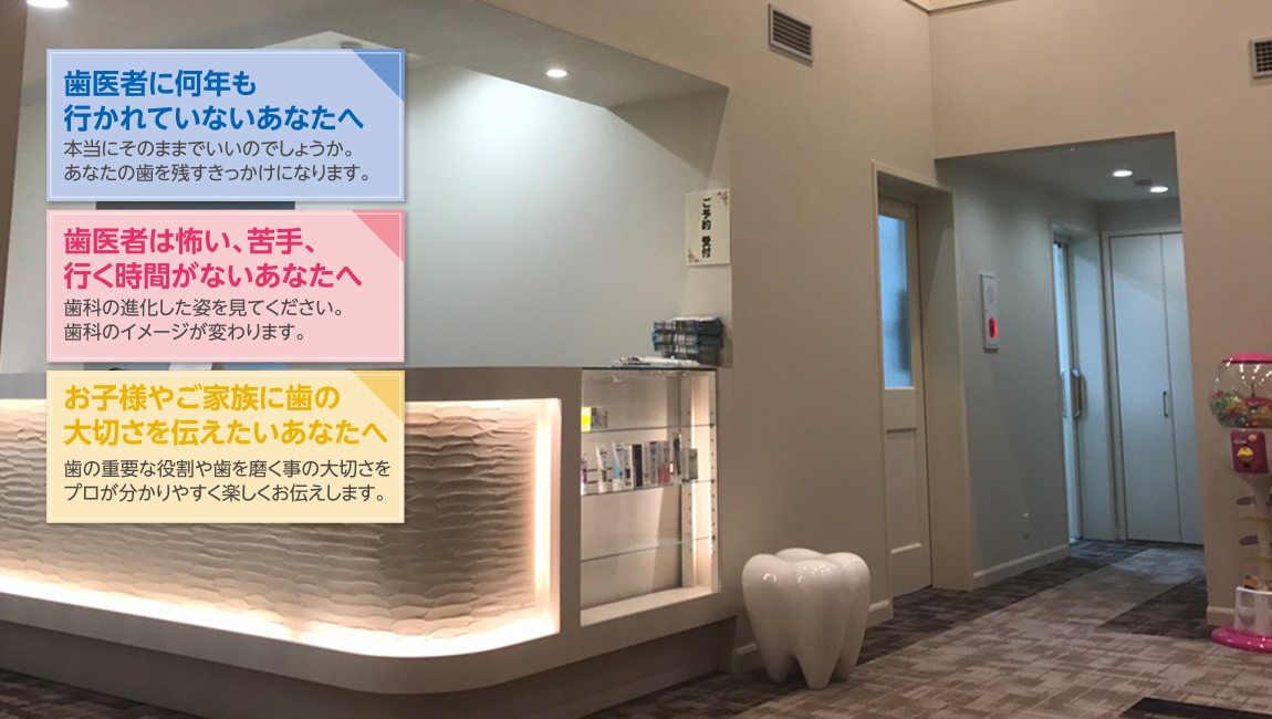 公式案内画像