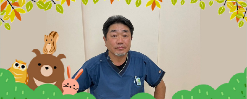 公式案内画像