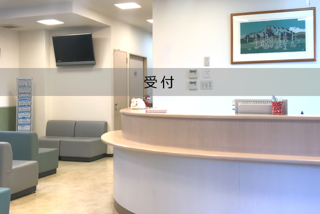 公式案内画像