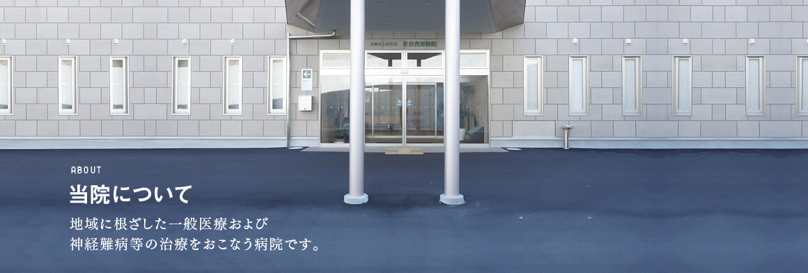 公式代表画像