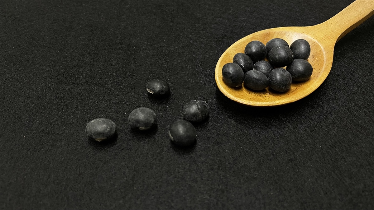 黒い大豆を木さじにのせた商品案内写真