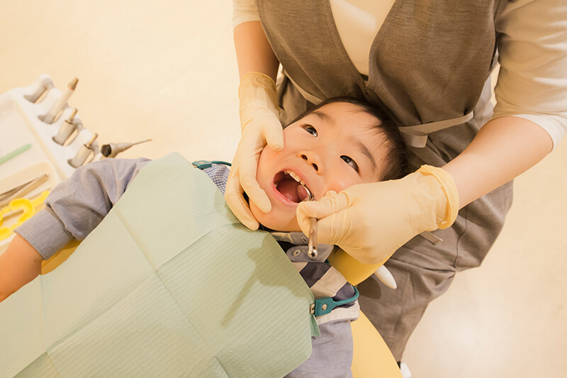医療法人社団Ｅｎｔｅｒｄｏ　Ｎａｔｕｒａｌ　Ｄｅｎｔａｌ　Ｏｆｆｉｃｅ橋本 の写真