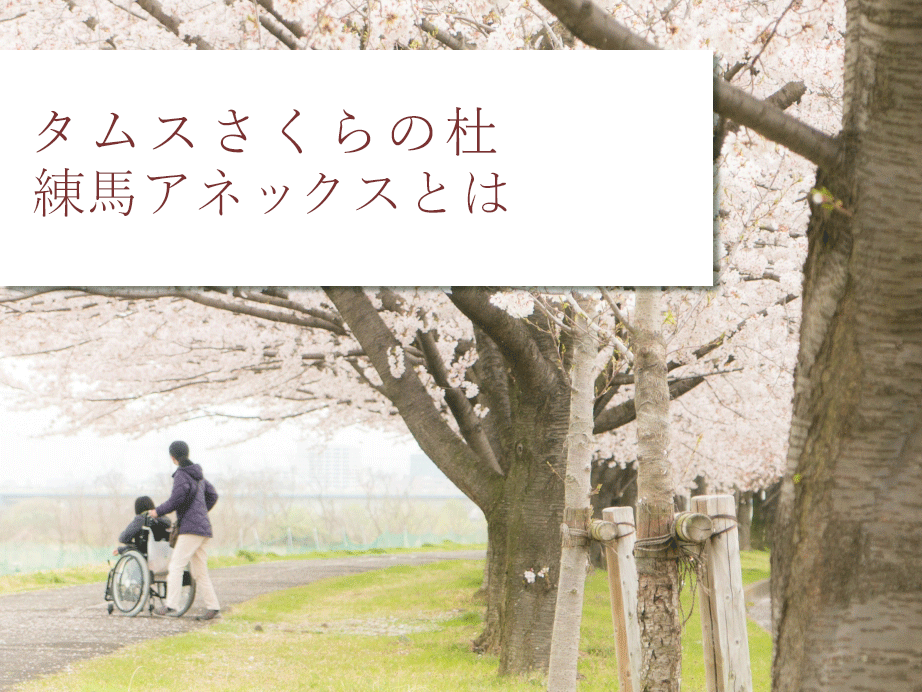 公式案内画像