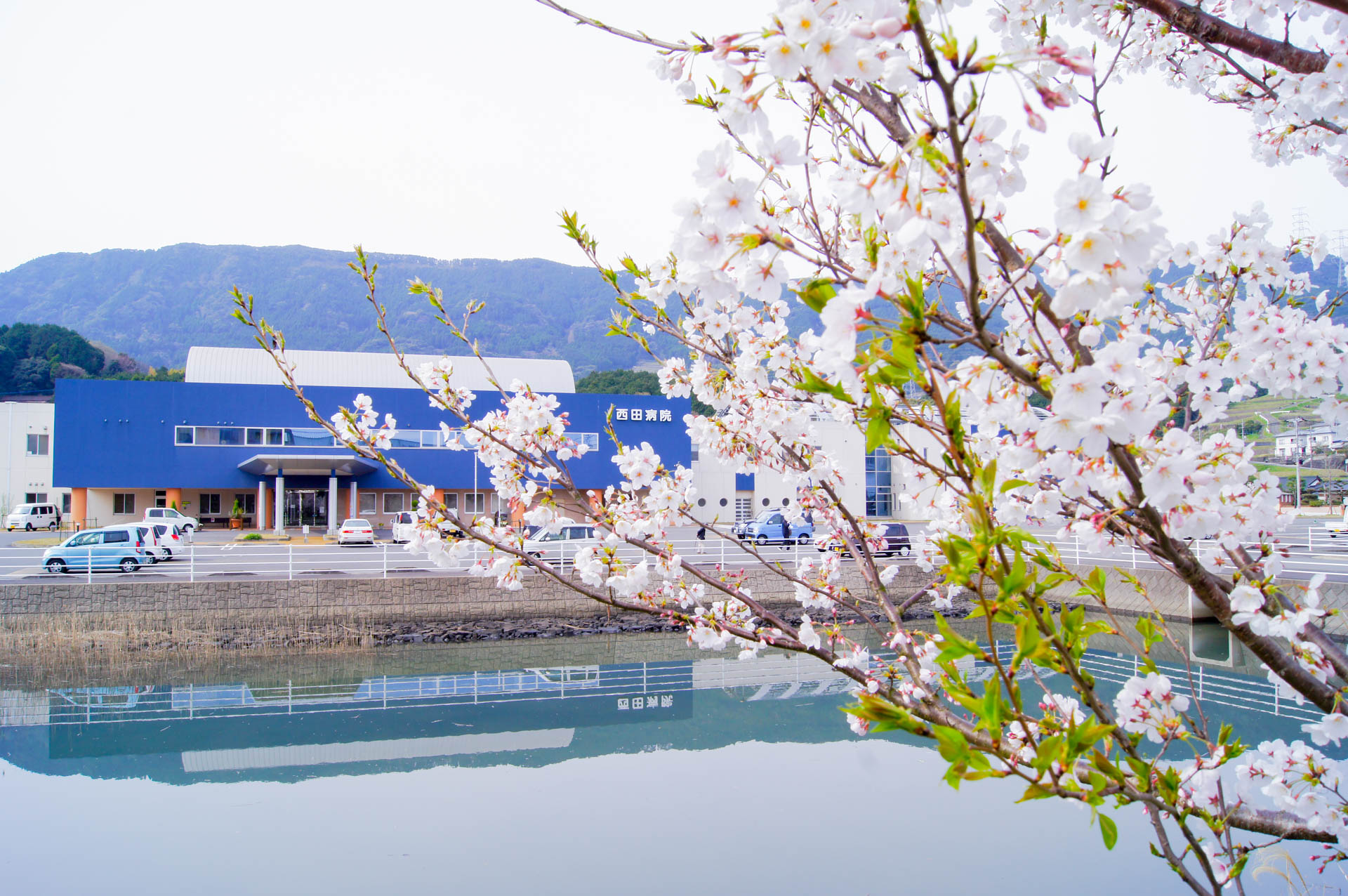 西田病院 の写真