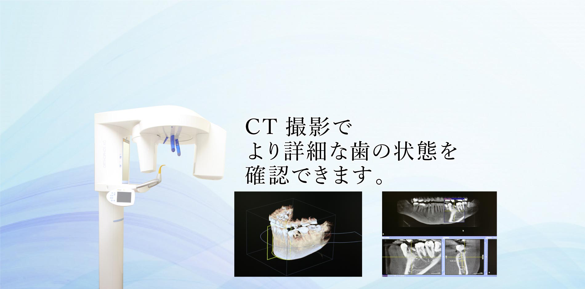 公式案内画像
