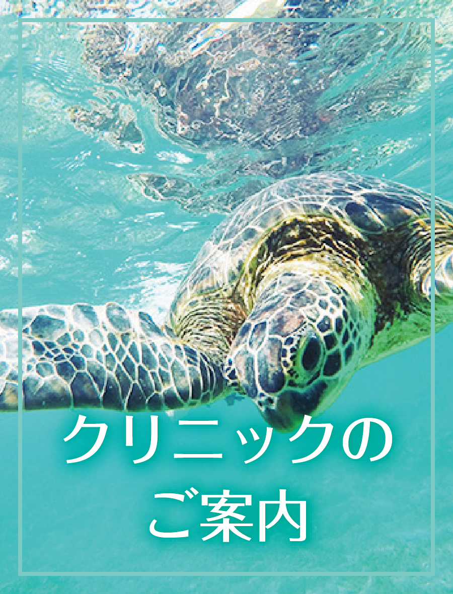 尼崎駅前耳鼻咽喉科のざわクリニック の写真