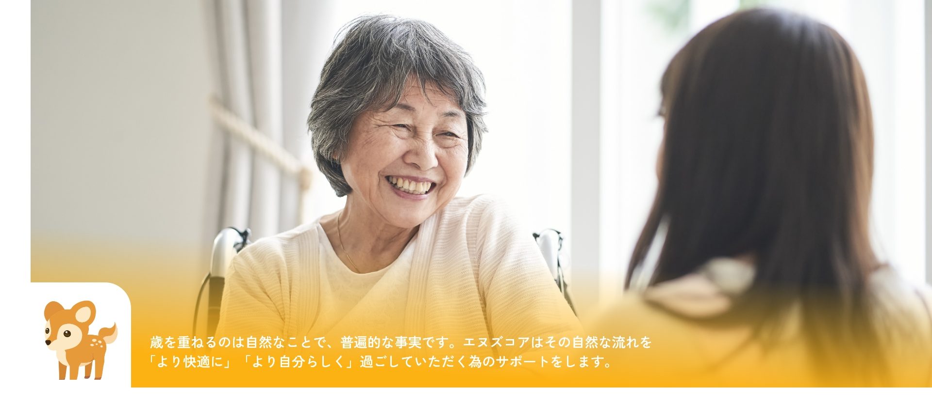 公式案内画像