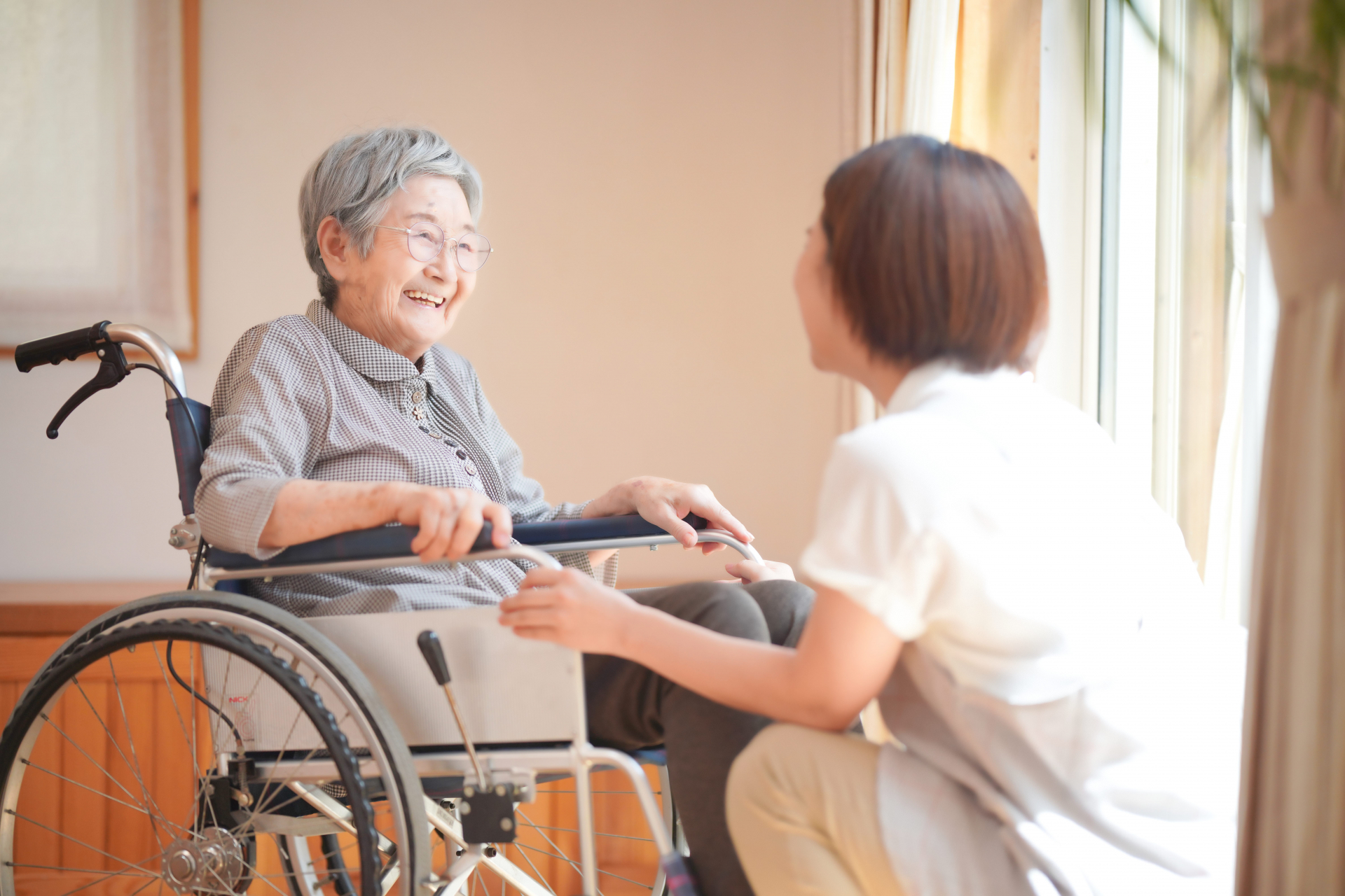 公式案内画像