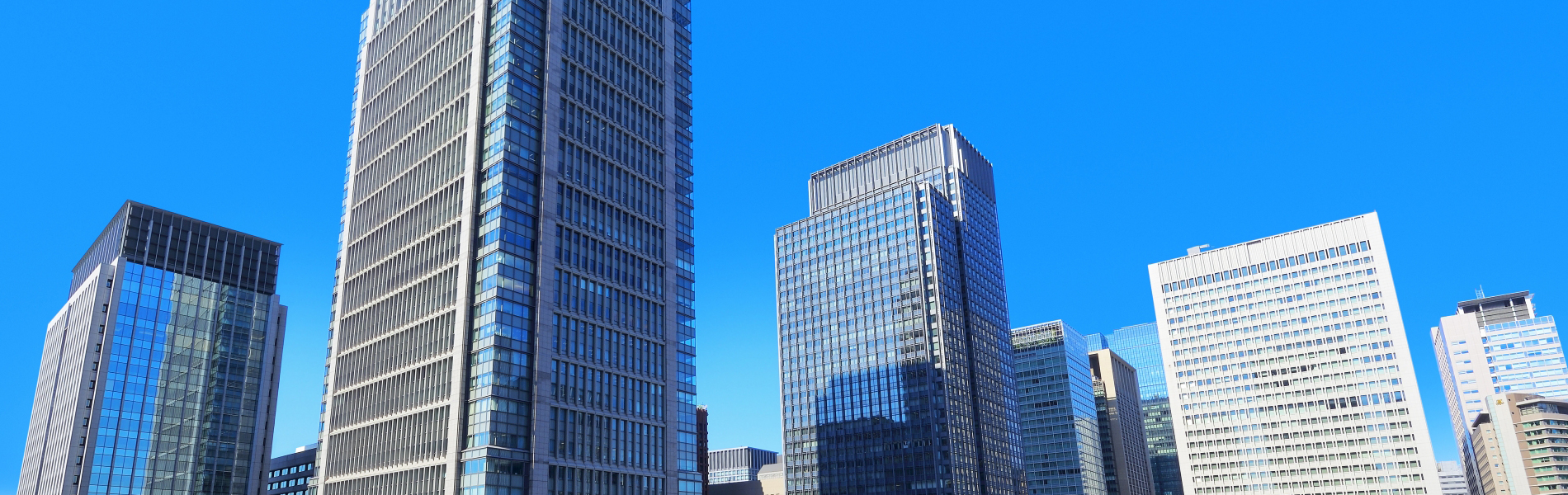 オーディーエー株式会社 の写真
