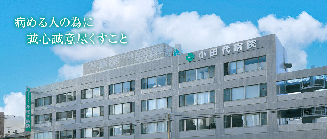 公式案内画像