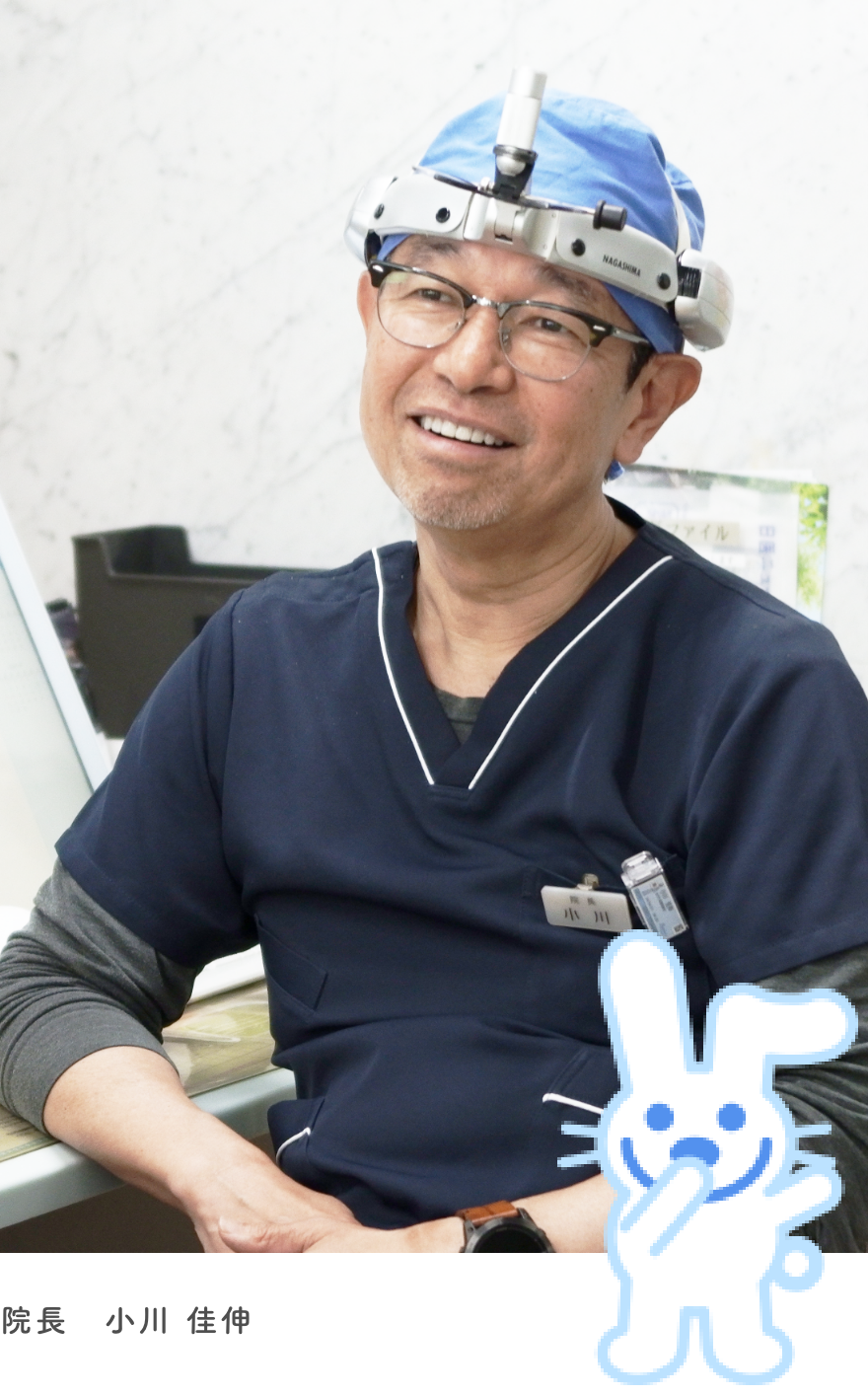 公式案内画像