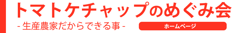 めぐみ会のトマトケチャップ