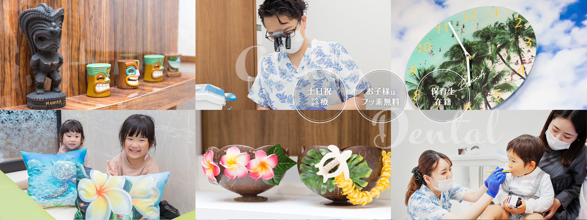 公式案内画像