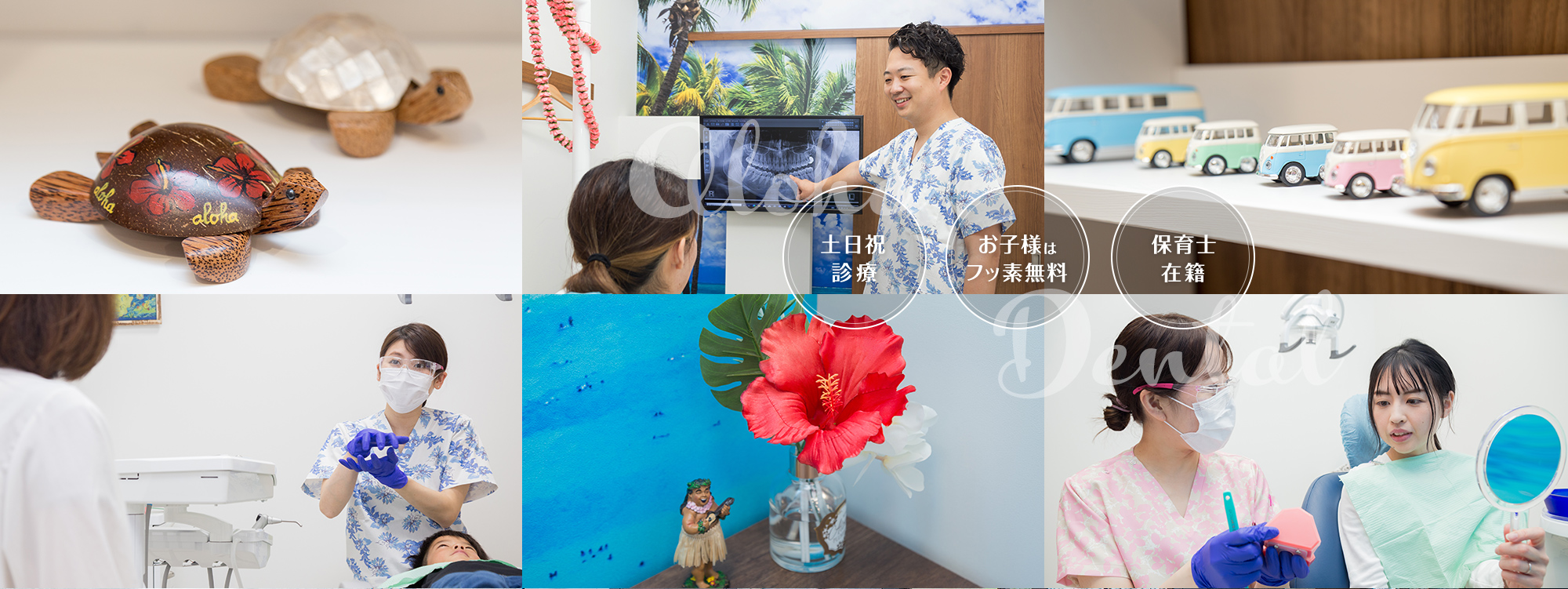 公式案内画像