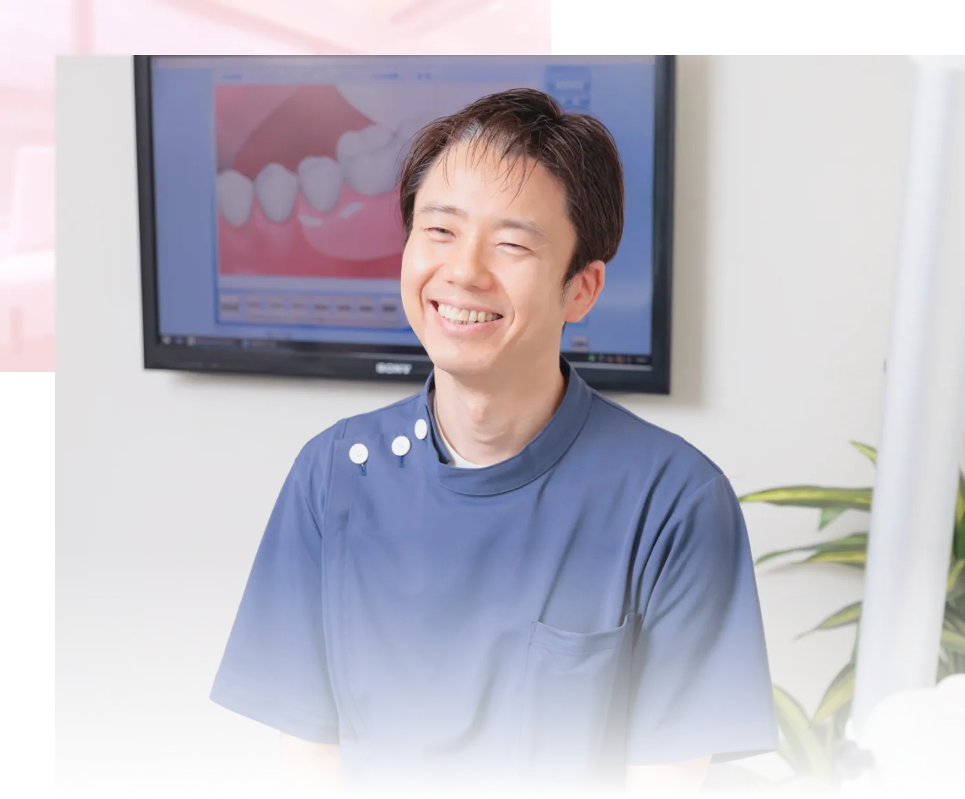 公式案内画像