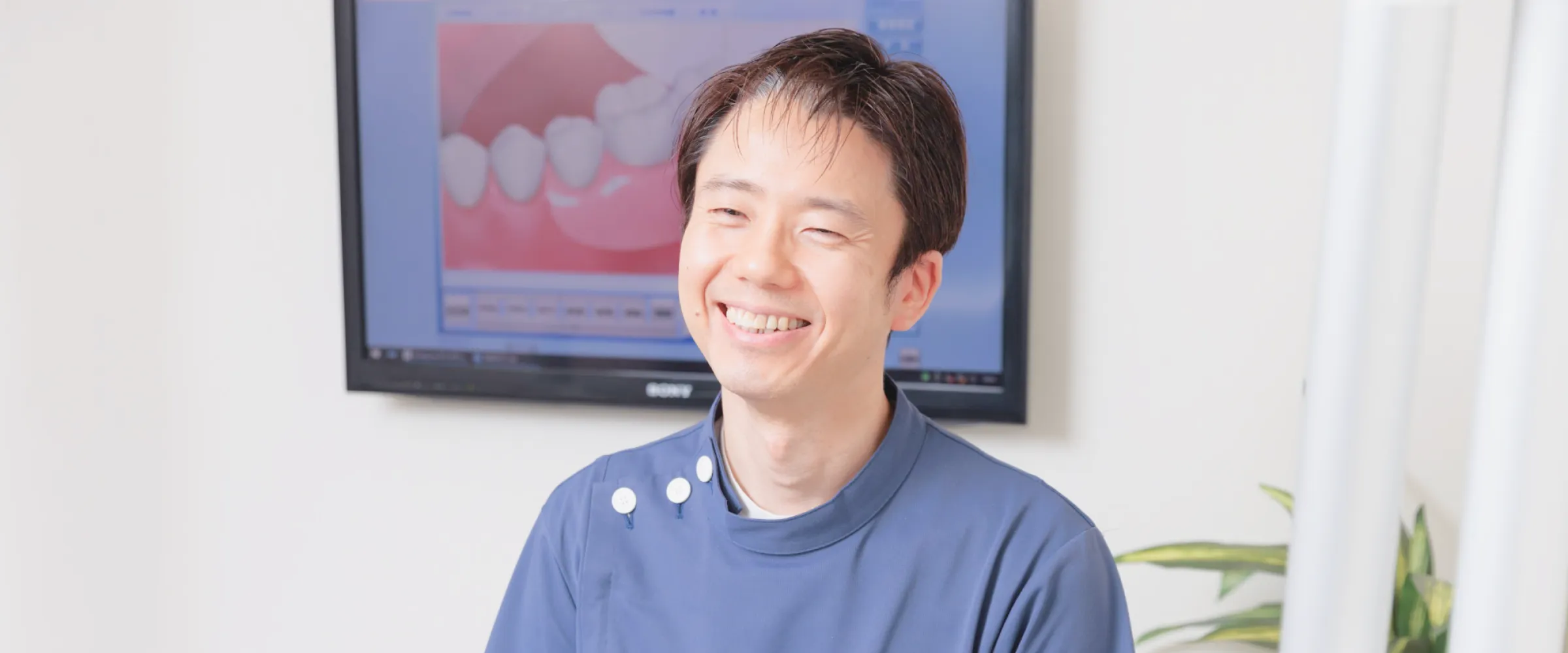 公式案内画像