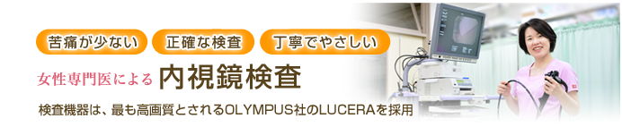 公式案内画像