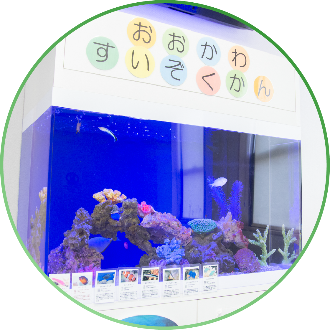 公式案内画像