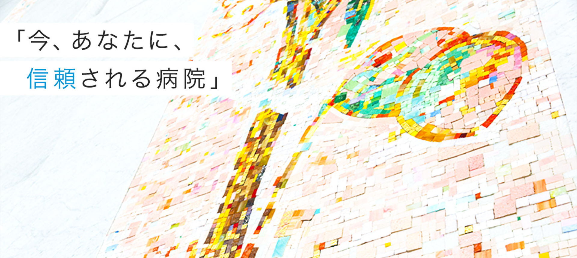 公式代表画像