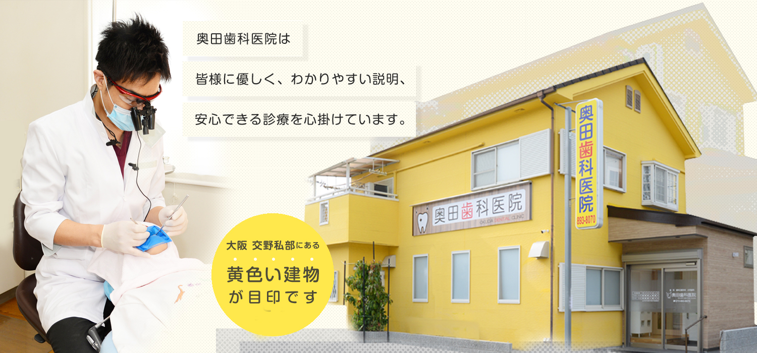 公式案内画像