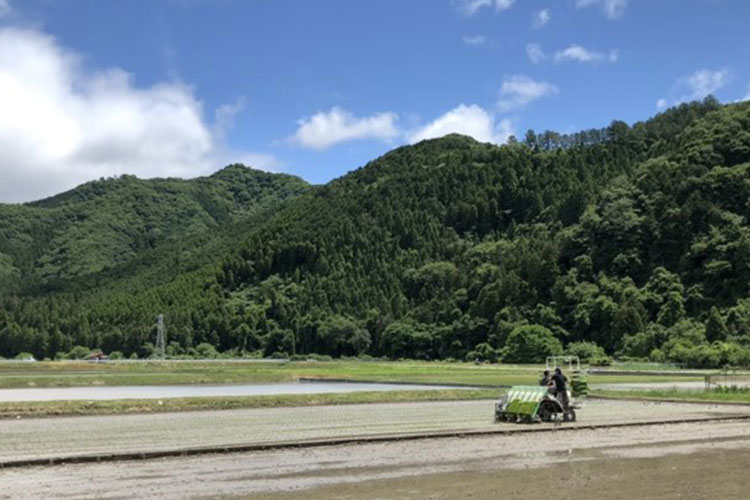 公式案内画像