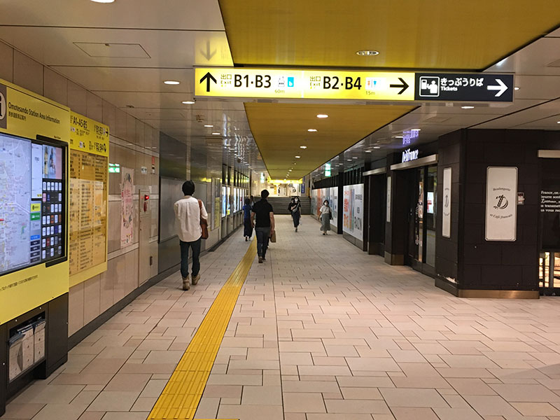 公式案内画像