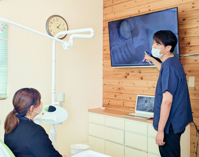 公式案内画像