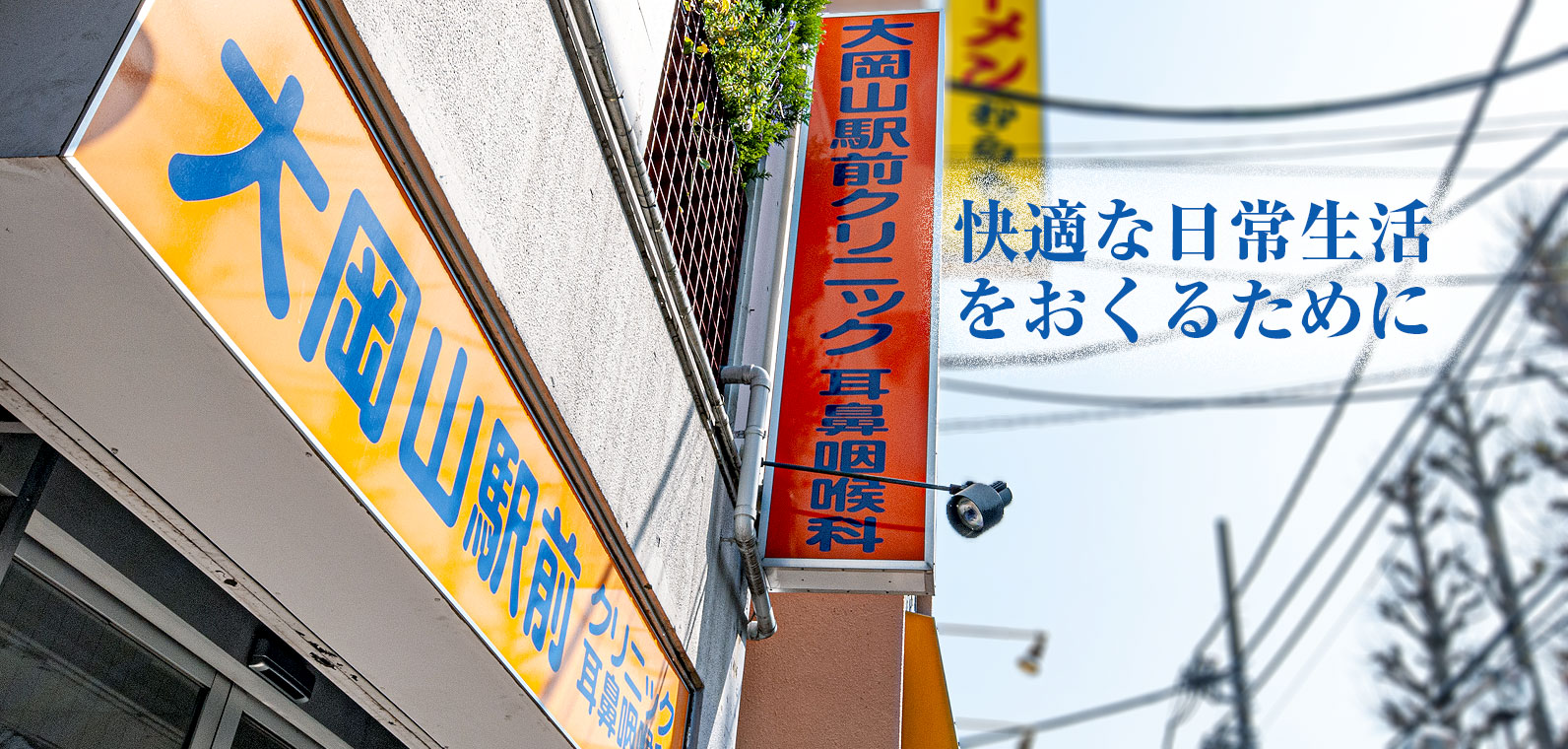 公式案内画像