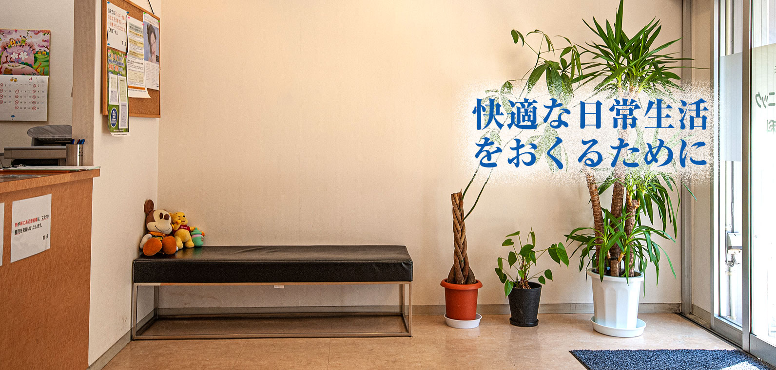 公式案内画像
