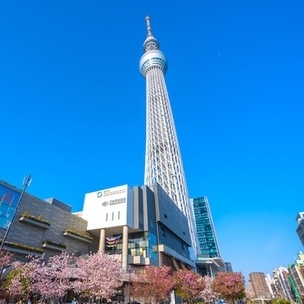 押上ウィステリア歯科医院 の写真