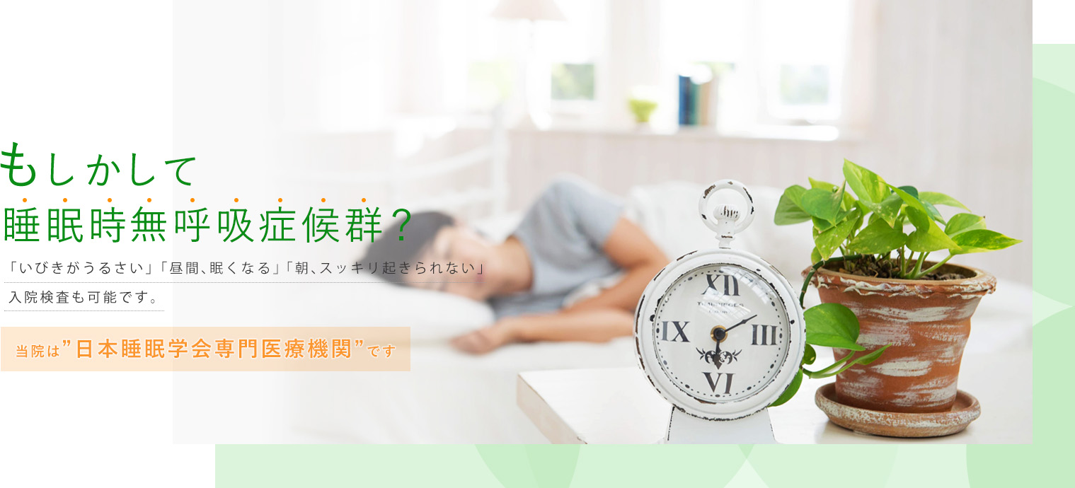 公式案内画像