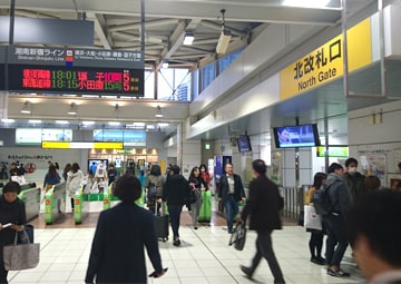 公式案内画像