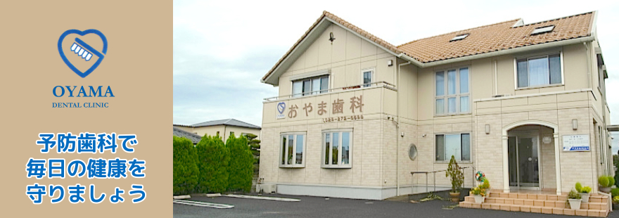 公式案内画像