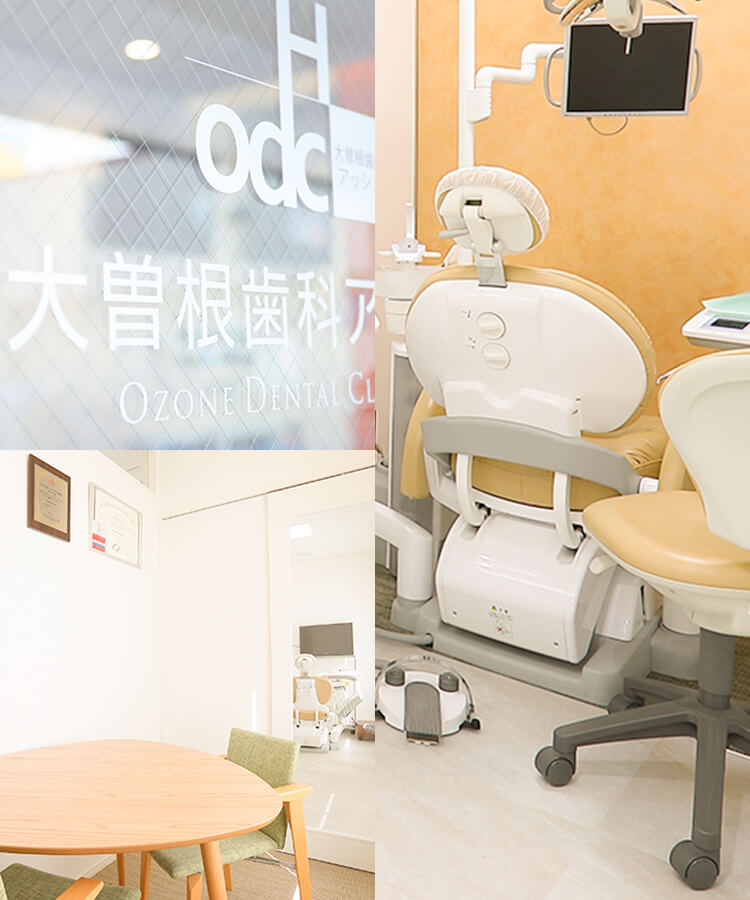 公式案内画像
