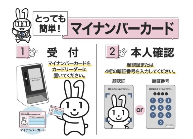 公式案内画像