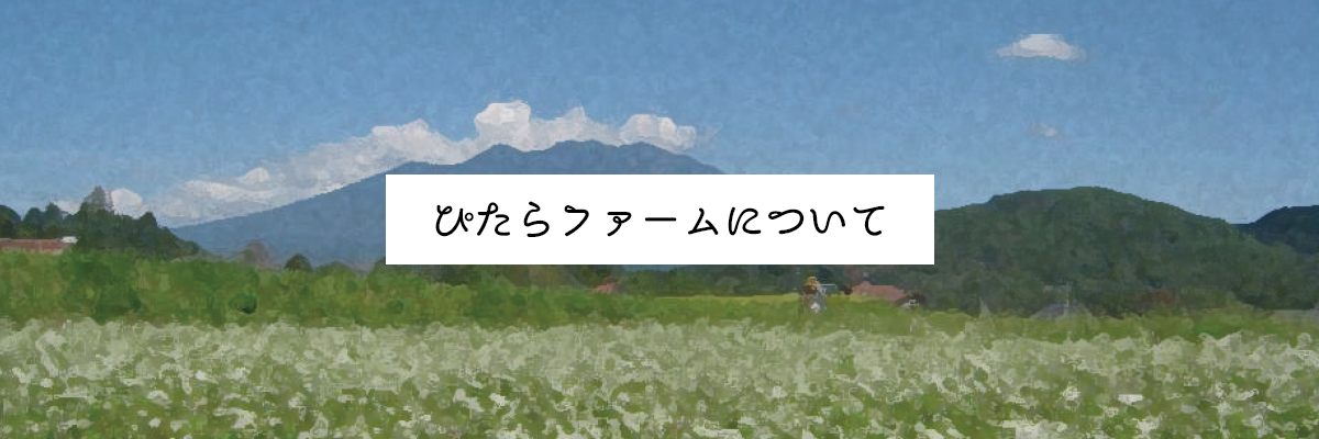 ぴたら商店 の写真