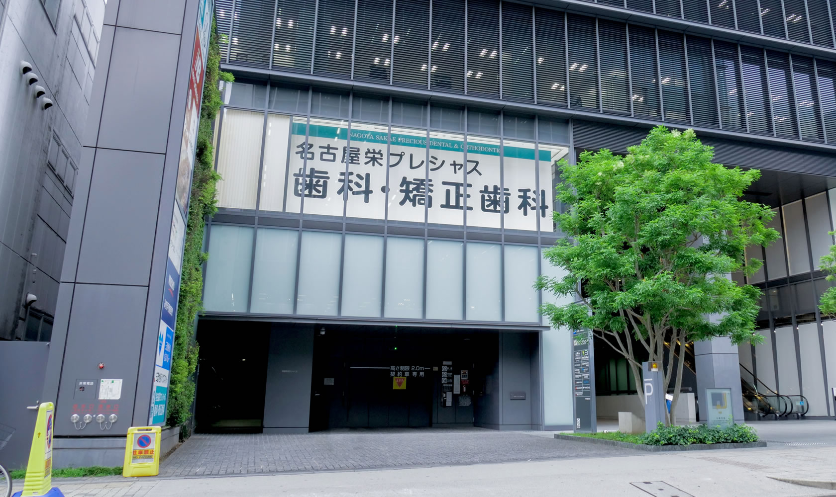 公式案内画像