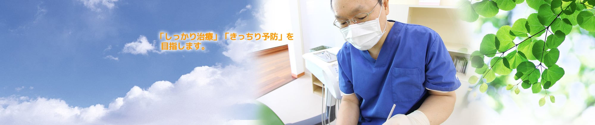 公式案内画像