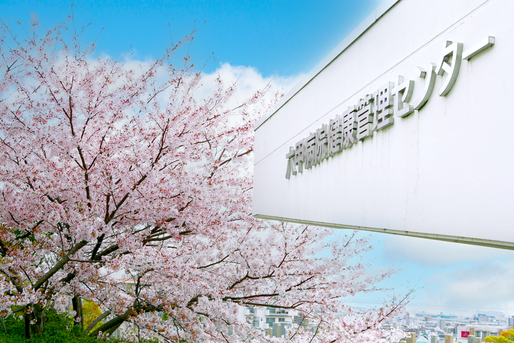 桜と青空を背景にした医療法人若葉会 六甲病院の建物サイン