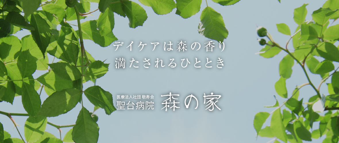 森の家ページに掲載されているデイケアの写真。