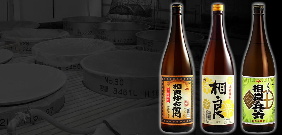公式案内画像