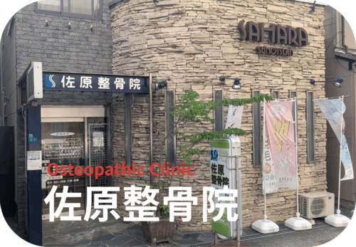 公式案内画像