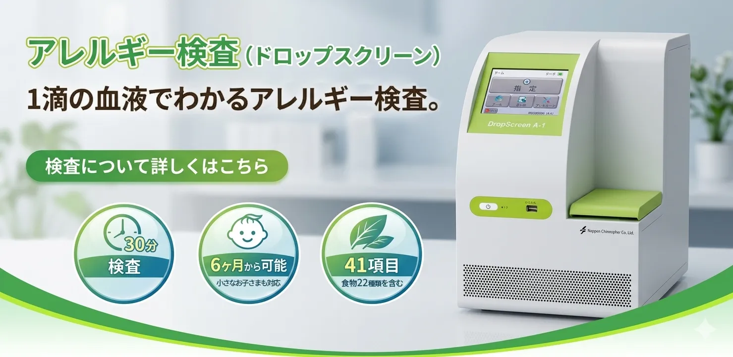 公式案内画像