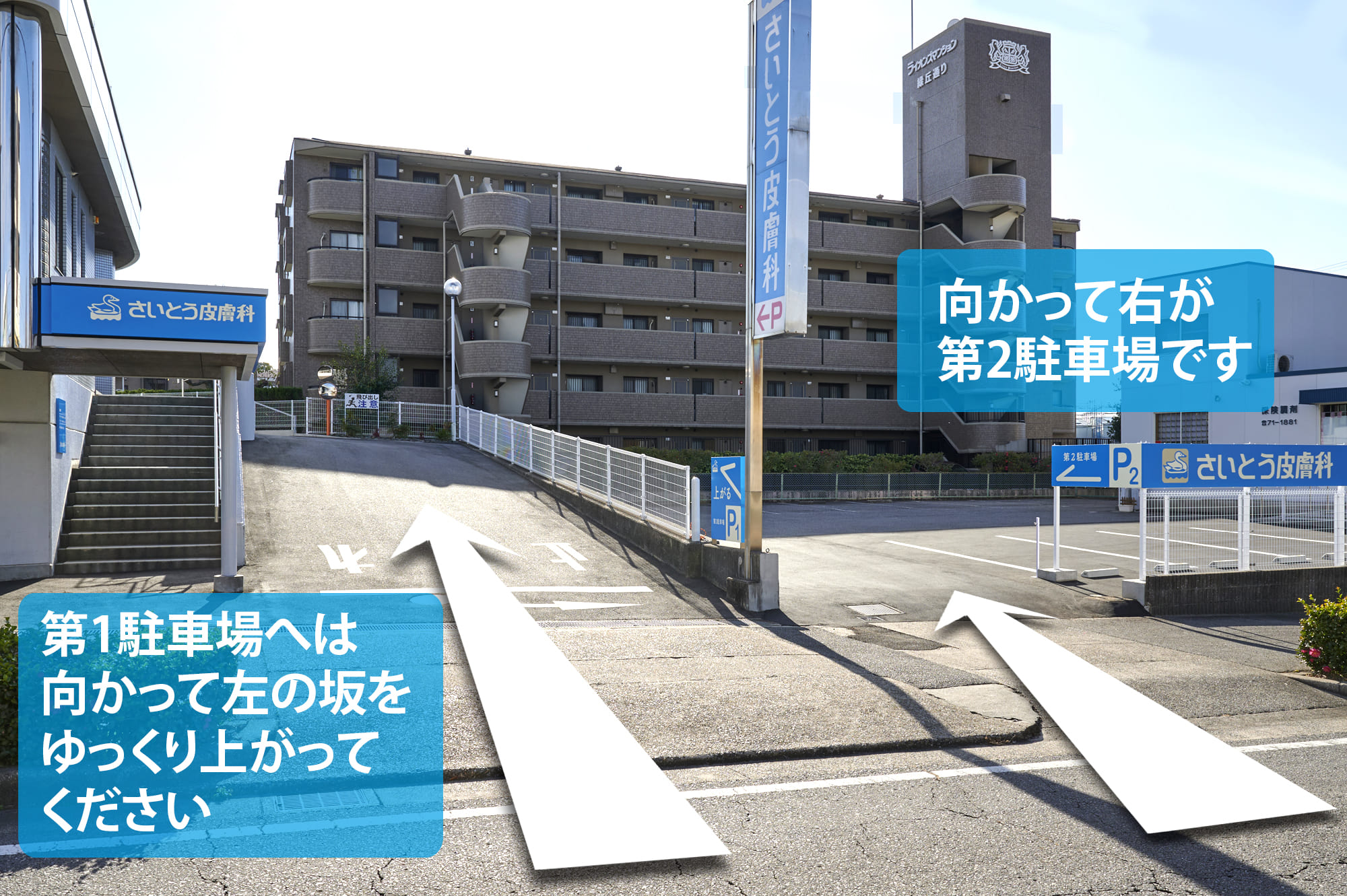 公式案内画像