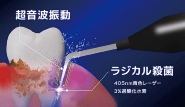 公式案内画像