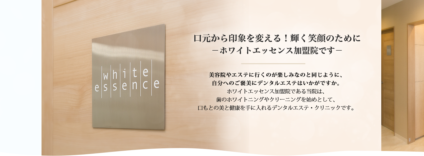 公式案内画像